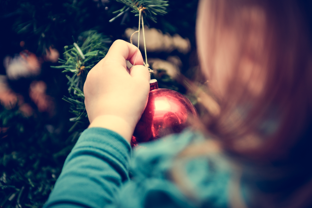 Ideas para disfrutar en familia esta Navidad — Entre Campeonas