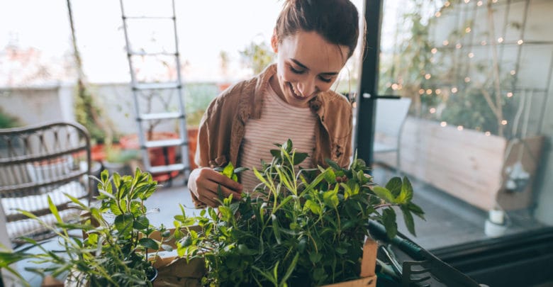 cultivar plantas en tu casa