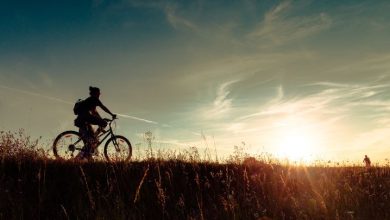 Actividades para el verano