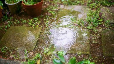 Consejos aprovechar agua de lluvia