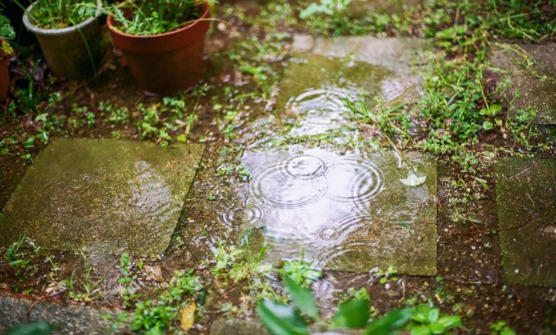 Consejos aprovechar agua de lluvia